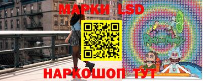 гашик Бузулук